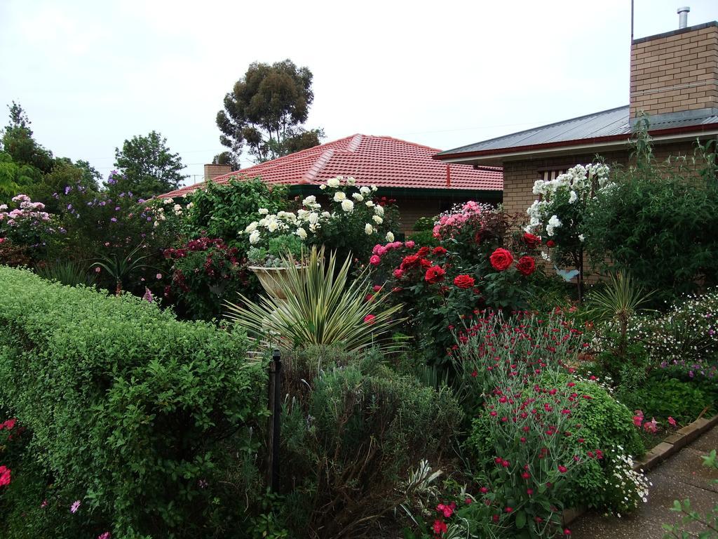Admurraya House Bed & Breakfast Rutherglen Esterno foto