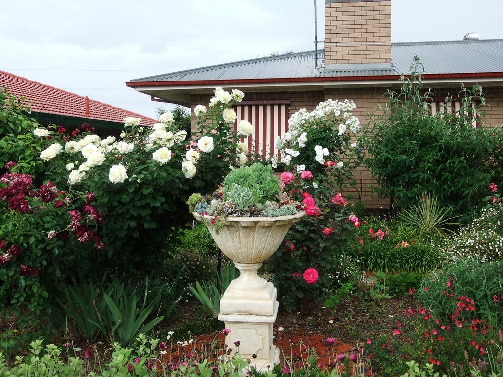 Admurraya House Bed & Breakfast Rutherglen Esterno foto
