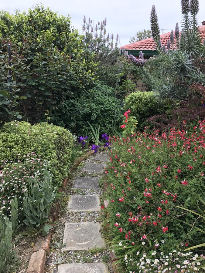 Admurraya House Bed & Breakfast Rutherglen Esterno foto
