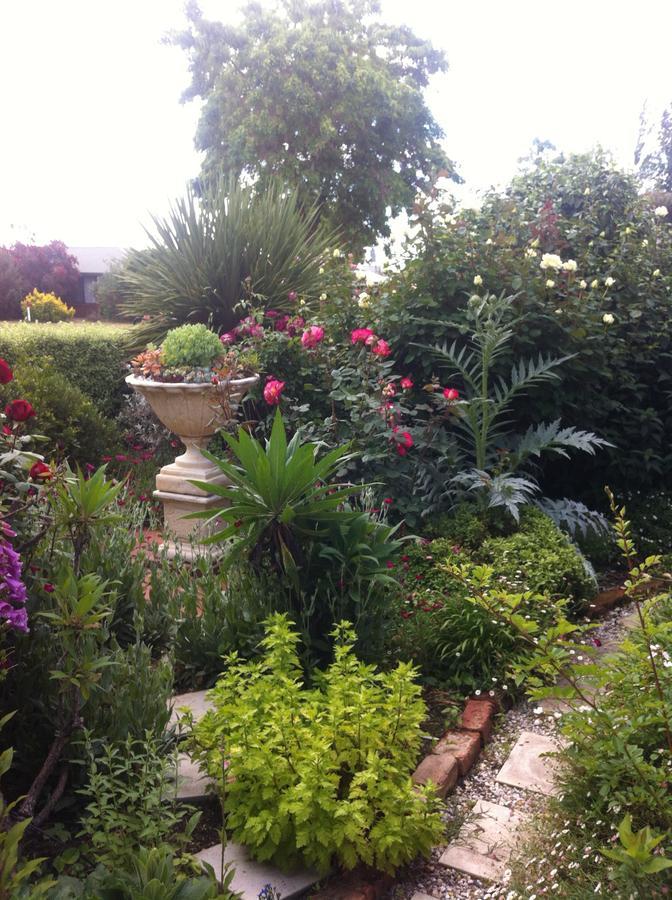 Admurraya House Bed & Breakfast Rutherglen Esterno foto