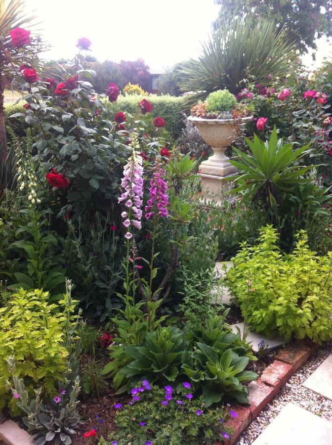 Admurraya House Bed & Breakfast Rutherglen Esterno foto
